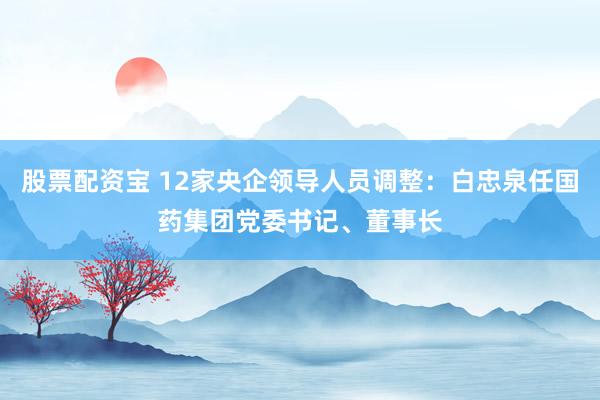 股票配资宝 12家央企领导人员调整：白忠泉任国药集团党委书记、董事长