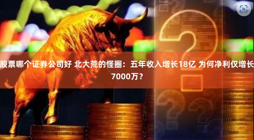 股票哪个证券公司好 北大荒的怪圈：五年收入增长18亿 为何净利仅增长7000万？